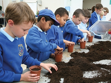 East Sheen Primary School pupils planting seeds in the Clore Learning Centre at RHS Wisley © RHS/Fiona Secrett