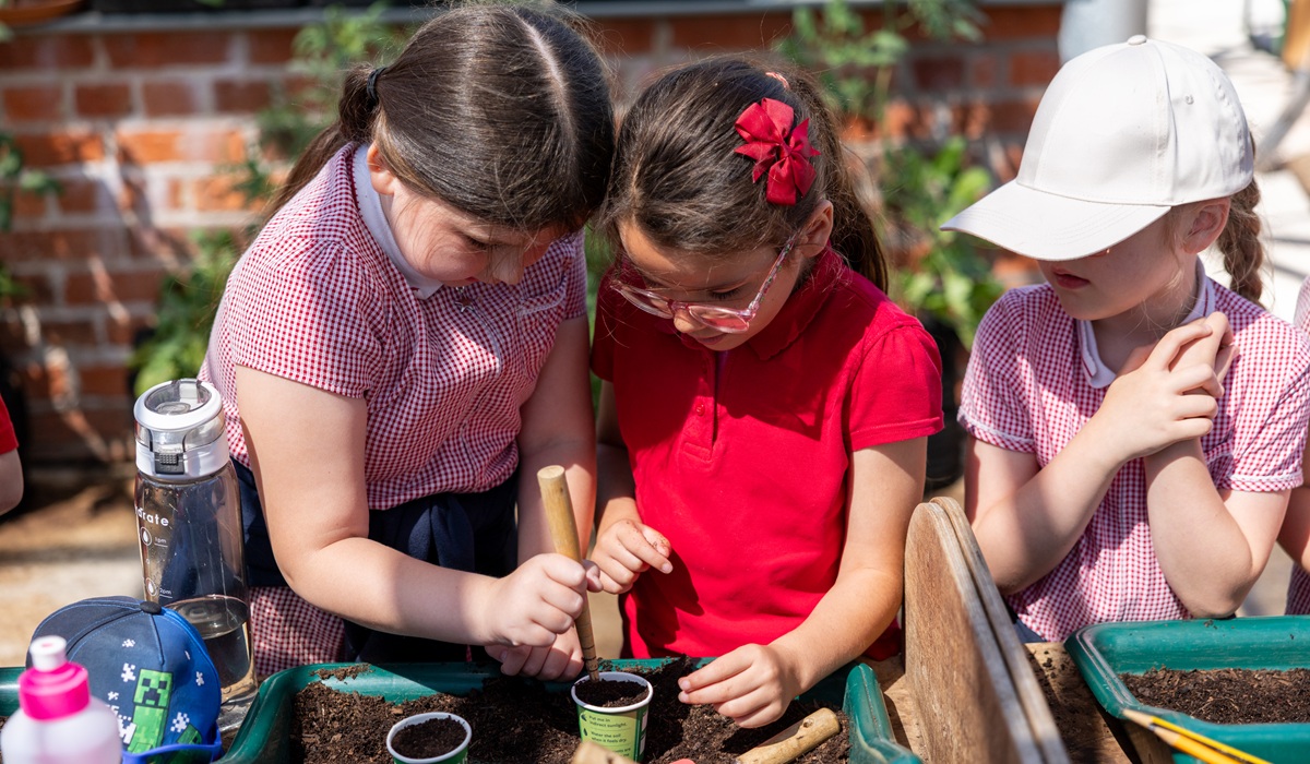 St Johns CofE Primary School trip to RHS Bridgewater St Johns CofE Primary School trip to RHS Bridgewater