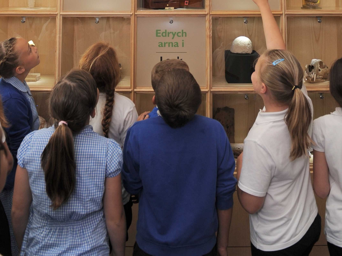 Image Vacancy: Schools Programme Manager